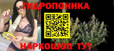 амф Нягань